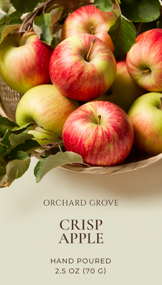 Crisp Apple Soy Wax Melts – 6 Cube Clamshell