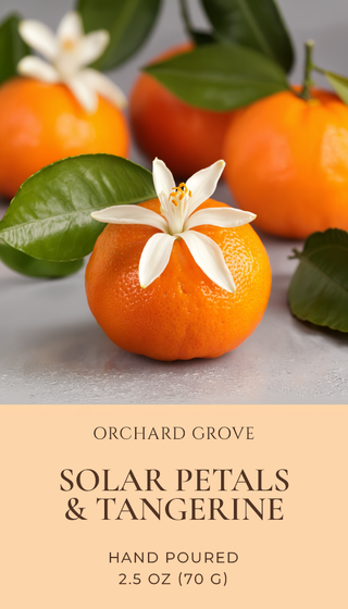 Solar Petals & Tangerine Soy Wax Melts – 6 Cube Clamshell