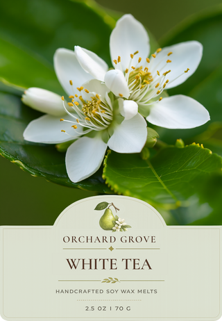 White Tea Soy Wax Melts – 6 Cube Clamshell
